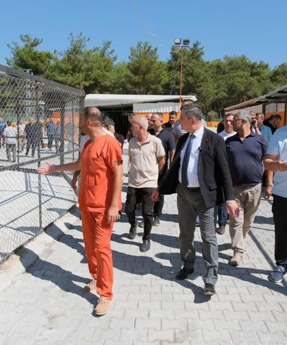 Hayvan bakımevi sokak hayvanlarının sıcak yuvası oldu