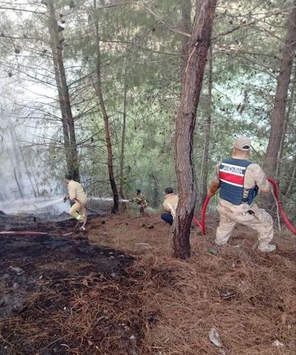 Yayladağı’nda ormanlık alan yangını kontrol altına alındı