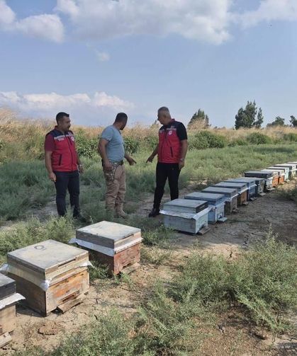 Antakya'da arıcılar bal sağımını sürdürüyor