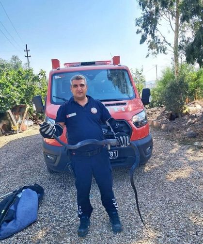 Evin bahçesine giren 2 metrelik yılan korkuttu