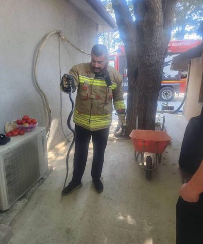 Eve giren yılan ekipler tarafından yakalandı