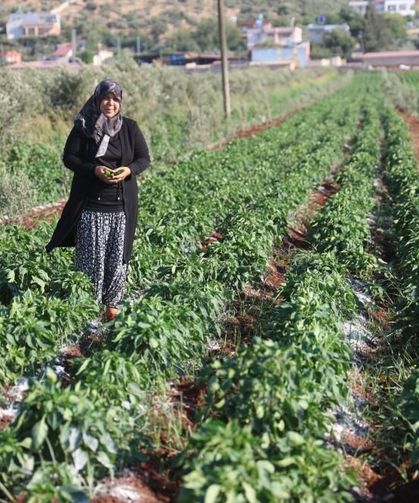 İlçenin tek kadın emlakçısı