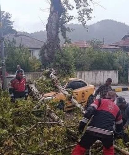 Yayladağı’nda aracın üzerine ağaç devrildi