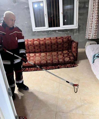 Samandağ’da yerleşim yerinde görülen yılan yakalanarak doğaya bırakıldı