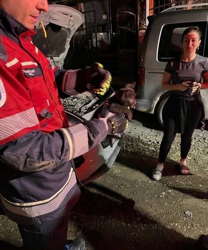 Arsuz’da aracın motoruna sıkışan kedi kurtarıldı