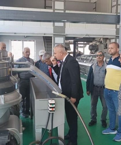 Kaliteli zeytinyağı üretimi için hasat uyarısı