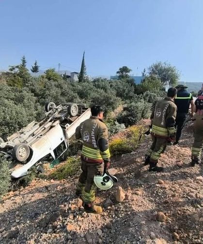 Zeytinliğe uçan kamyonetin sürücüsü yaralandı