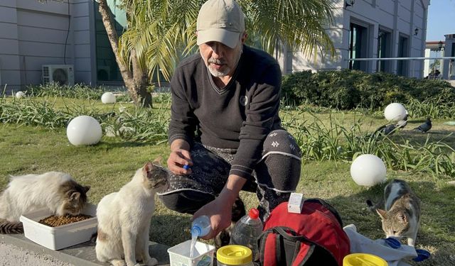 100’den fazla kedi besliyor