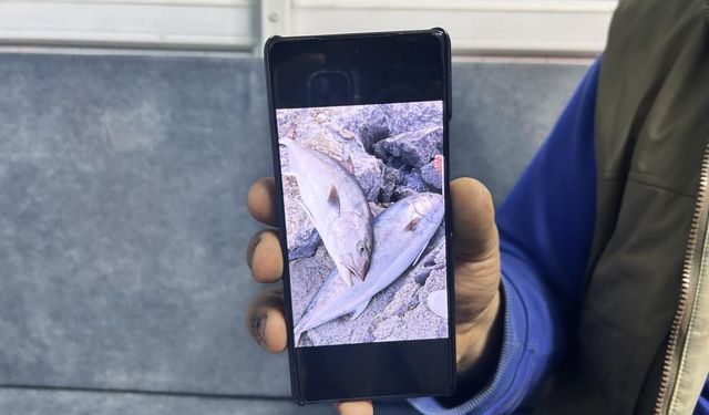 65 kiloluk, 2 akyayı 18 bin TL’ye sattı