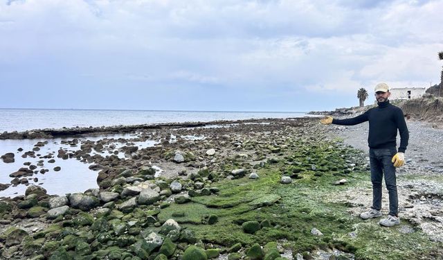 20 metre çekilen deniz normal seviyesine dönmeye başladı