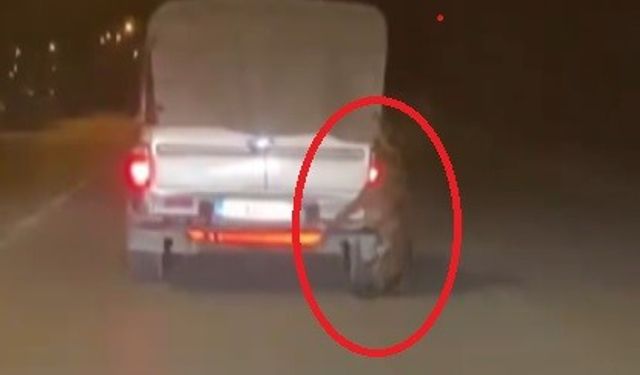 Aracın arkasına bağlı köpekle metrelerce yol gittiler