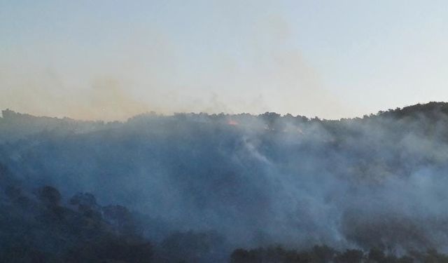 Hatay’da orman yangını