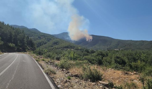 Hatay’da orman yangını🔥