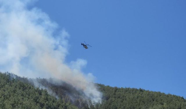Hatay'da orman yangını havadan müdahaleyle kontrol altına alındı