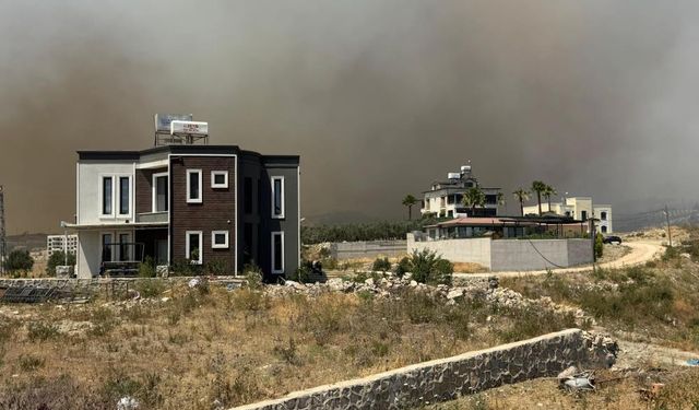 Hatay’da orman yangını