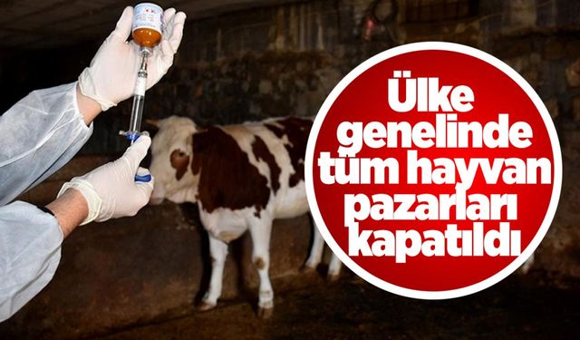 Şap hastalığı, Türkiye’deki hayvan pazarlarını vurdu