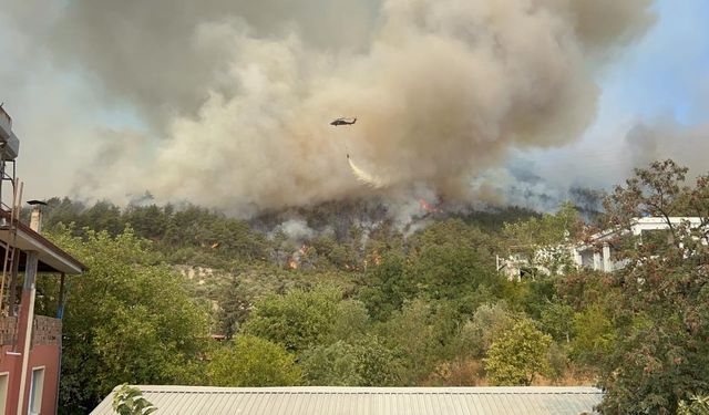 Hatay'da yangına 16 ilden gelen ekipler müdahale ediyor