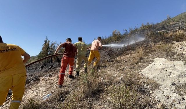 Hatay'da orman yangını kısa sürede kontrol altına alındı