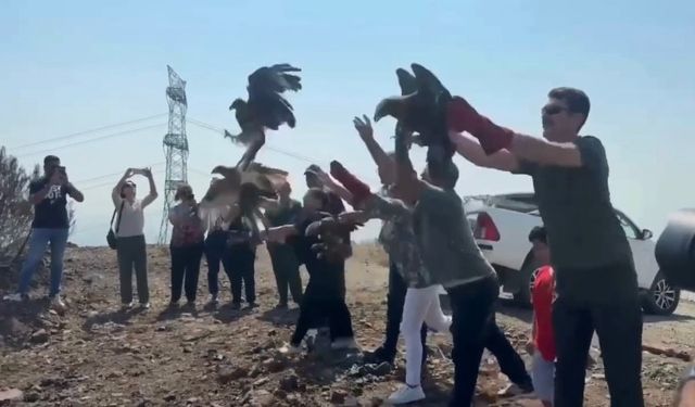 Tedavileri tamamlanan 11 yabani kuş doğaya salındı