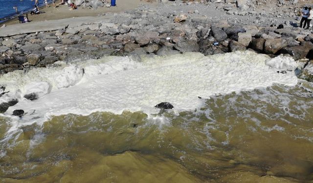 Suyun yüzeyinde oluşan beyaz tabaka tedirgin etti