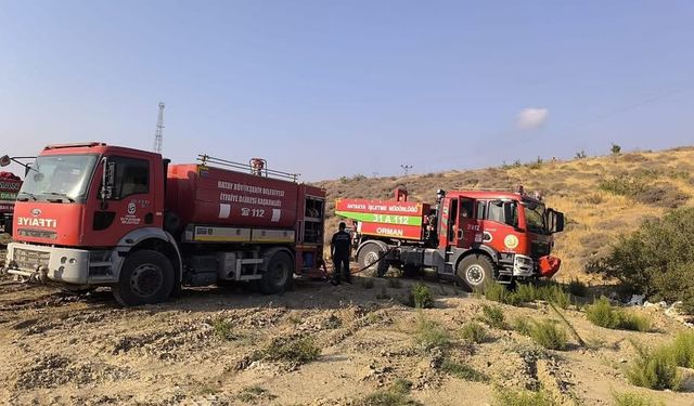 Belen’de ormanlık alanda yangın çıktı