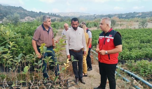 İl Tarım Müdürü Türkmen, fidan üretim sahalarını incelediv