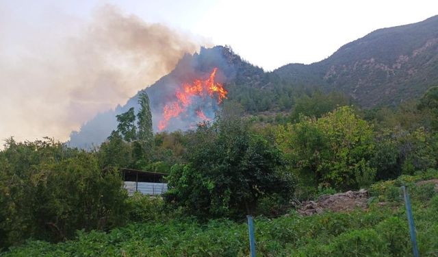 Kırıkhan’da orman yangını başladı