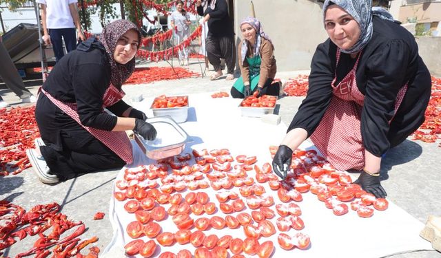 Afetzede kadınların kuruttuğu domatesler, kış aylarında sofraları süslüyor