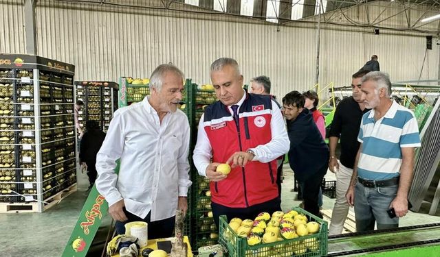 Hatay’da limon ihraç eden firmalar denetlendi