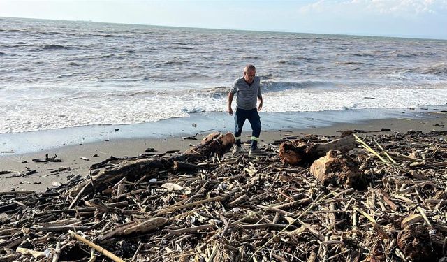 Şiddetli yağışla kahverengiye dönen Akdeniz’de kıyı kütüklerle kaplandı