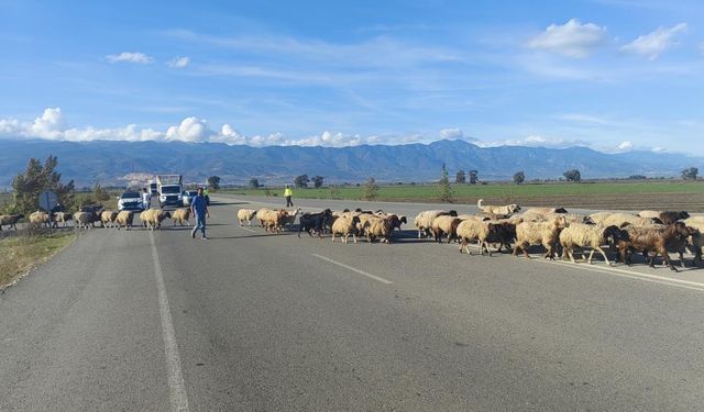 Trafiğin durduğu kara yolunda korna sesi yerine çan sesi yankılandı