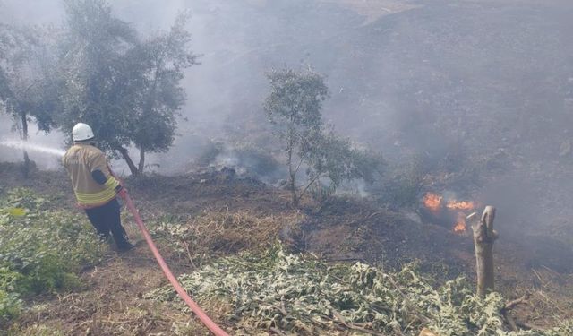 Kumlu’da bahçe yangını