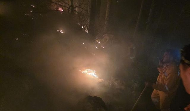 Ormanlık alandaki yangın 16’ncı saatte kontrol altına alındı