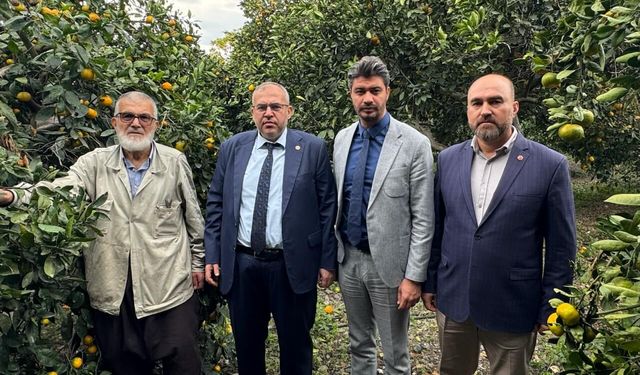 Çalışkan’dan Hatay’da Narenciye Alarmı: Çiftçi Ürünü 1 Liraya Satıyor, Milli Narenciye Politikası Şart!