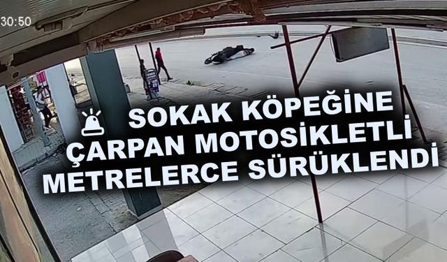 Sokak köpeğine çarpan motosikletli metrelerce sürüklendi