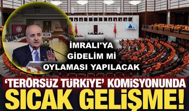 Terörsüz Türkiye Komisyonu, İmralı'ya gidelim mi oylaması yapacak