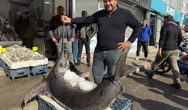 138 kiloluk kılıç balığı ilgi odağı oldu