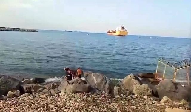 Gemiden denize düşen angus yüzerek karaya ulaştı