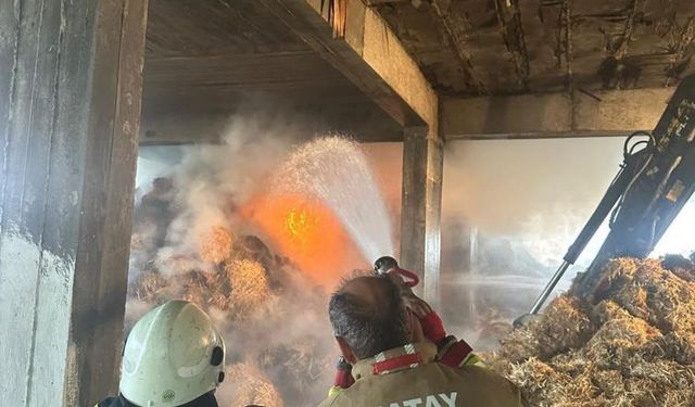 Samandağ'da samanlıkta çıkan yangın 10 saatte kontrol altına alındı
