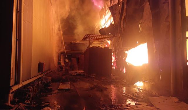 Sünger deposu alevlere teslim oldu