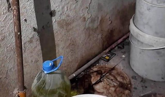 Zabıta müdürü: Fareyi geçtim, yılan çıkacak diye korkuyorum