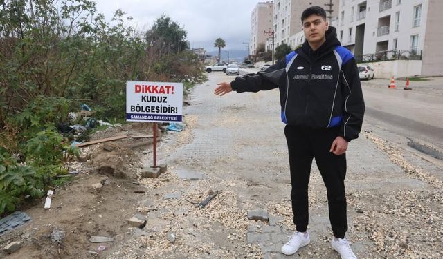 Hatay'da 4 mahalleye kuduz karantinası