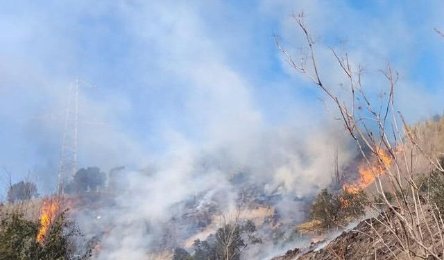 Defne'de çıkan bahçe yangınından alevler yükseldi