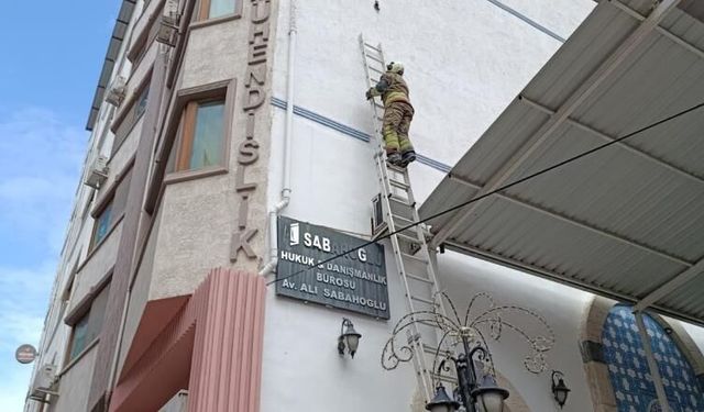 İpe dolanan kuş kurtarıldı