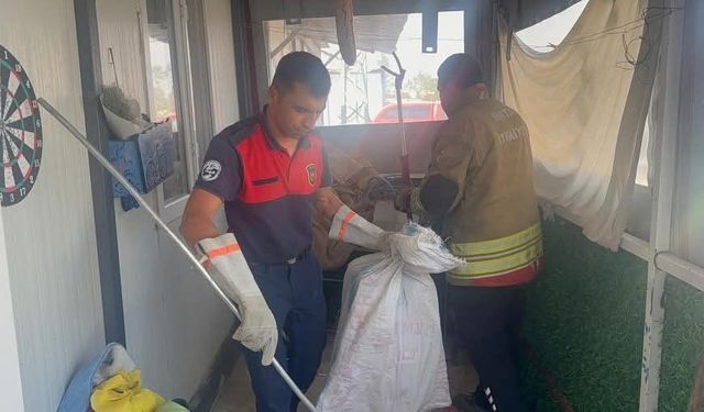 Antakya'da eve giren yılanı itfaiye yakaladı