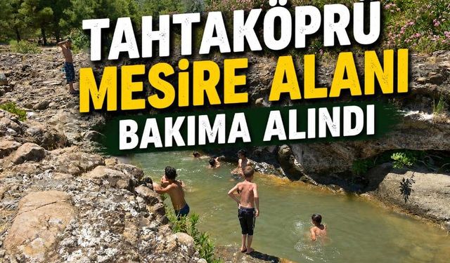 Tahtaköprü mesire alanı bakıma alındı