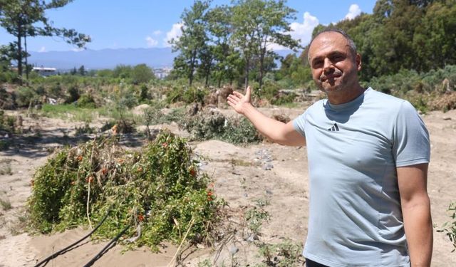 Taş yığınları, onlarca tarım arazisine zarar verdi