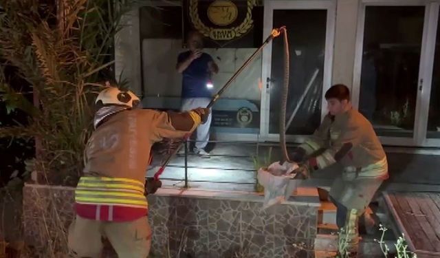 Evin bahçesine giren 1 buçuk metrelik yılan korkuttu