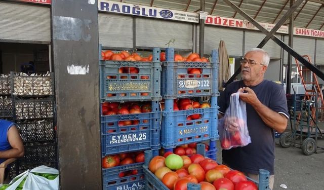 Sebze halindeki domatesin fiyatı 15 TL'ye düştü