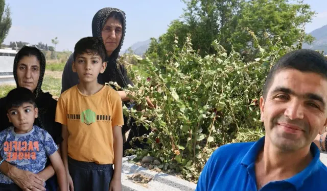 Yolunu gözlediği iki çocuğunun babası kazada can verdi